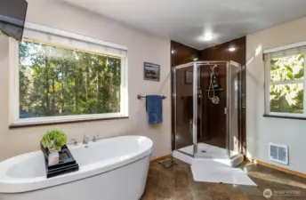 Free standing bathtub, walk-in shower