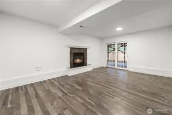 Downstairs Family Room