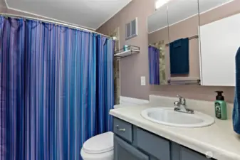 Modern Finishes & Stylish Vanity in Main-Floor Bath