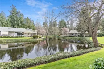 Experience the Quiet Beauty of Coffee Creek Living