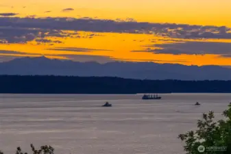 Tugboats and world traveling vessels: a daily show.