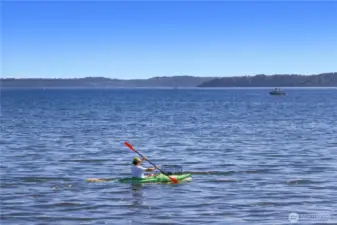 Kayak and drop off your crab pots for a later day harvest.