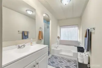 Primary bathroom.