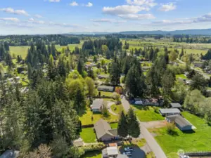 Drone view of community.