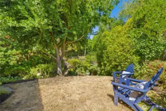 Tons of tree coverage and garden space