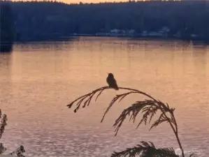 View from deck