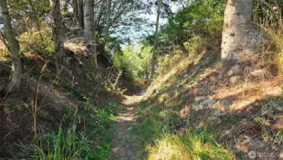 Path to Beach