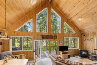 Imagine the snow is falling and you are cozied up near the warmth of the pellet stove...