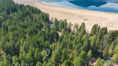A rare find this close to the lake!