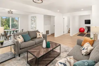 Lower level features a huge, flexible rec room.