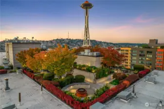 Awesome rooftop deck: firepit, harvestable community garden, barbeques, group and private gathering areas.