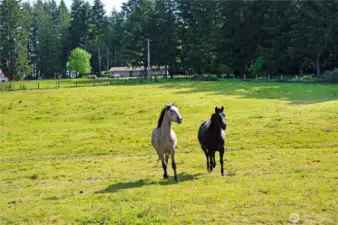 Fields are actively in use