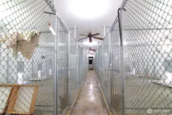 Interior of the kennels