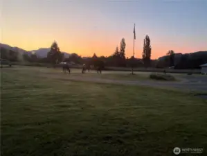 Some visitors enjoying the sunset