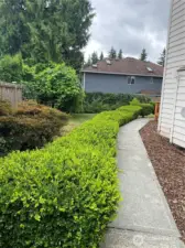 side yard