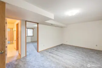 downstairs bonus room