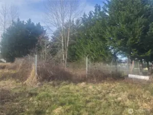 Chain link fencing around the perimeter of the property