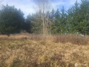 View from adjacent lot to the South looking North