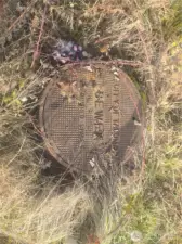 Sewer manhole in front of the property