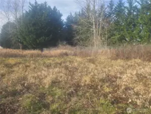 Another view of the property from the adjacent property to the South looking Northwest.