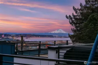 Stunning Mount Rainier Views from the roof deck.
