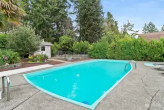 Expansive pool deck for sunning and entertaining.