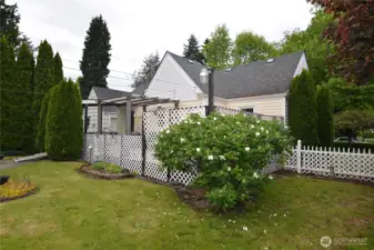 Fenced Back Yard