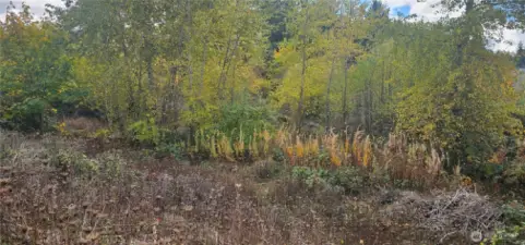 View of the lot from the road