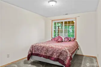 Extra Down Stairs Bedroom