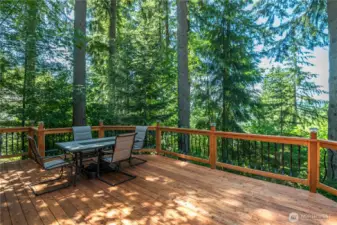 Deck w/View