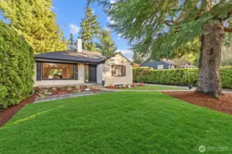 Front yard with fresh sod and professional landscaping