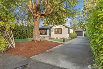 Spacious driveway, space to fit many cars.