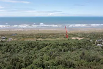 Oceanfront buildable lot, arrow marks the approximate location of the 1/4 acre building site on the primary dune.