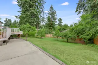 Large back yard with four Asian Pear trees