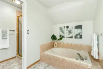 Soaking tub and separate shower.