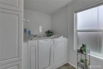 Walk in Jetted Tub