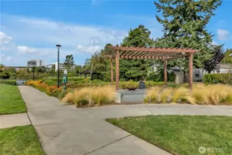 Park leading to the lake