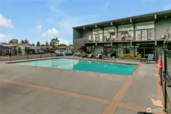 Pool
