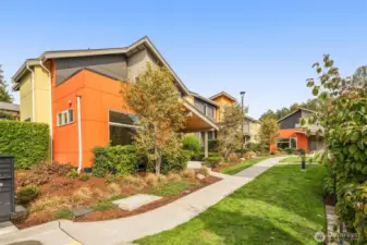 11 Detached Homes