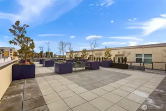 Big rooftop view deck.