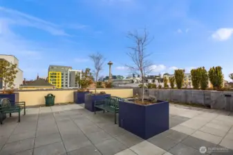 Big rooftop view deck.