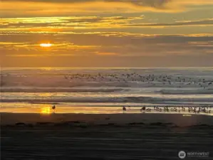 The beach is a short walk away.