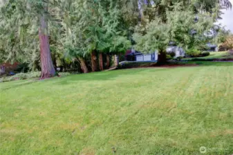 Mature landscaping, lots of yard