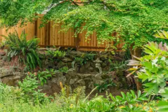 Lovely mature landscaping -- very easy care.