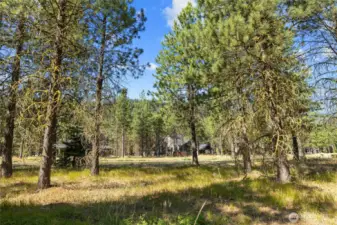 Level homesite on this southwest facing setting