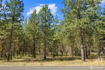 Street view of homesite