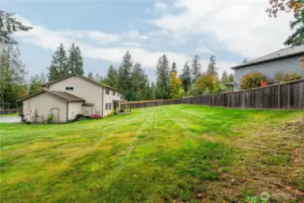 Gentle slope in the backyard up to the fence