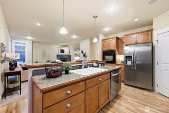 Kitchen island holds the dual basin sink and dishwasher while looking out into the family room. Pantry off to the back right next to the fridge.