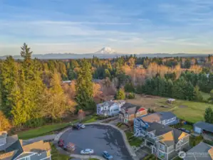 House sits at the end of a HUGE cul-de-sac with neighbors only on one-side, and Mt Rainier Foothills in the distance