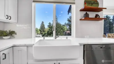 FARM SINK/VIEW WINDOW